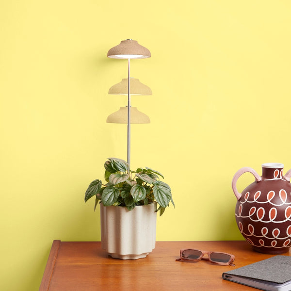 Instant Sun Grow Lamp - - We The Wild - Wild Lark