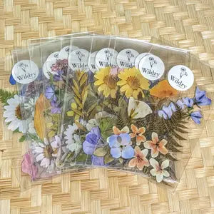 Pressed Flower Sticker Packs -  - Wild Lark - Wild Lark