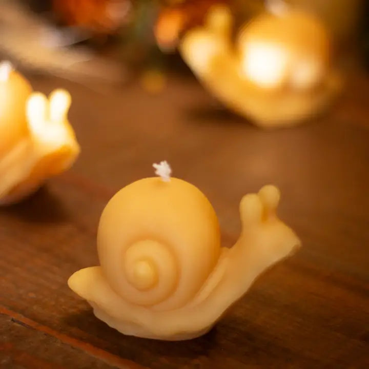 Snail Beeswax Candle -  - The Ramblin' Bee - Wild Lark