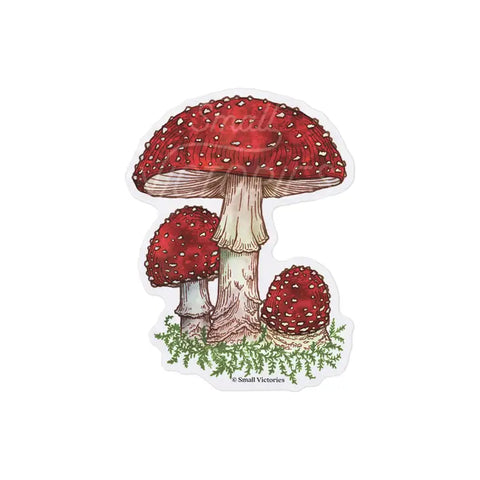 Eco-Sticker: Fly Agaric Mushroom -  - Small Victories - Wild Lark