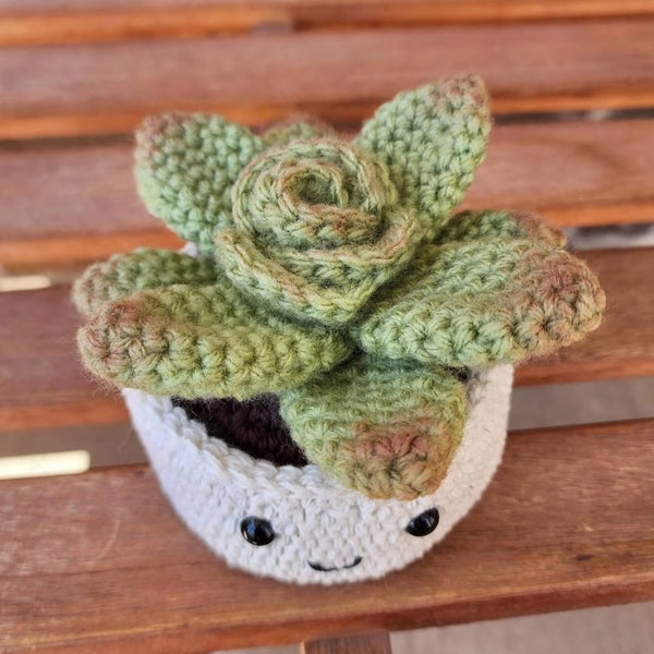 Crochet Plant - Rosette - Tomopod - Wild Lark