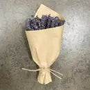 MINI French Lavender Bundle -  - Andaluca - Wild Lark
