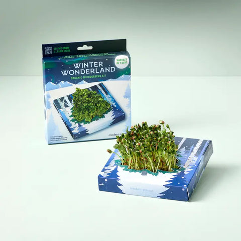 Winter Wonderland Microgreens Kit -  - Modern Sprout - Wild Lark