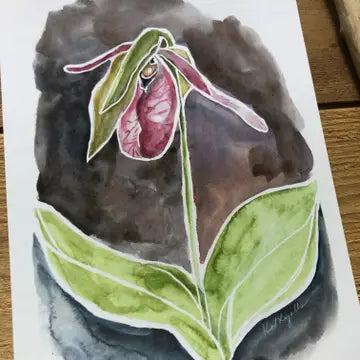 Kat Ryalls Prints - Pink Lady Slipper Watercolor / 5x7 - Kat Ryalls - Wild Lark