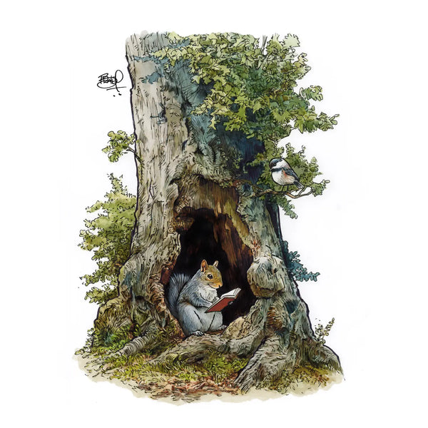Greeting Cards - Book Nook - Shawn Braley Illustration - Wild Lark