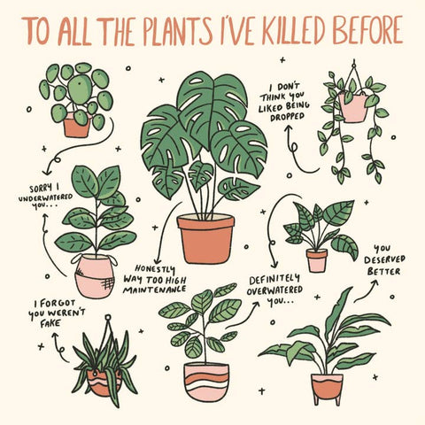 Plant Killer Square Print -  - Jollie Ollie Designs - Wild Lark