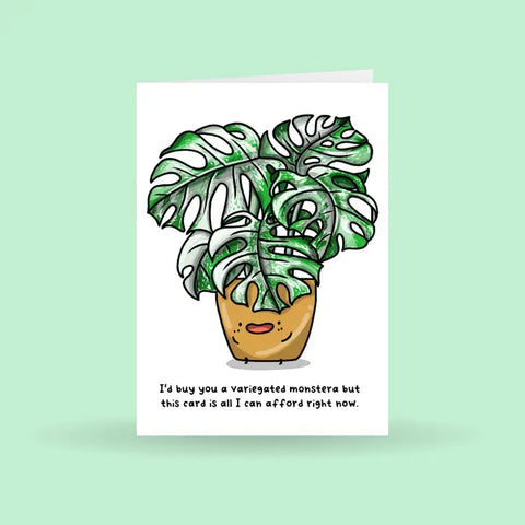 Variegated Monstera Plant Greeting Card -  - Home by Faith - Wild Lark