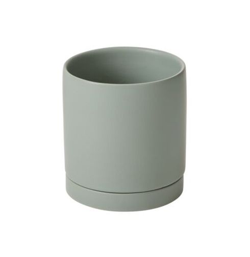Romey Pot - Sage / 5.75" - Fall River - Wild Lark