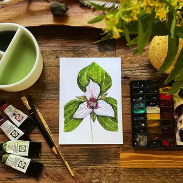 Kat Ryalls Prints - Painted Trillium / 5x7 - Kat Ryalls - Wild Lark