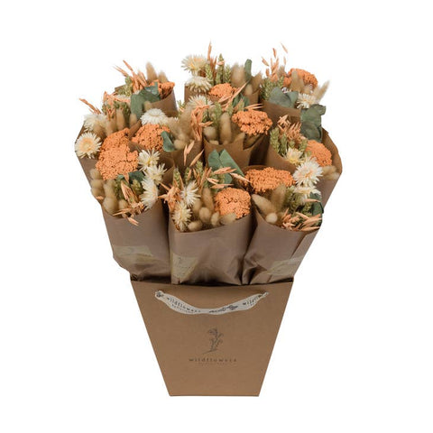 Dried Flowers - Market More - Apricot -  - Wildflowers by Floriette - Wild Lark