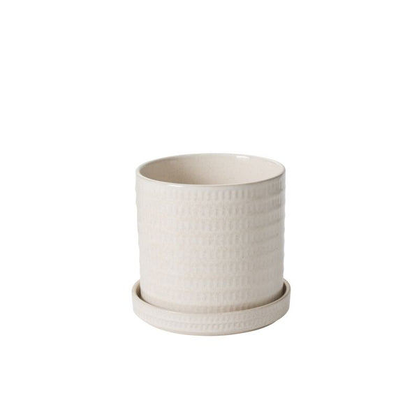 Morse Pot - 7" - Fall River - Wild Lark