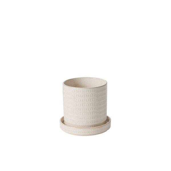 Morse Pot - 5.5" - Fall River - Wild Lark