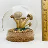 Mushroom Curiosity Jar Real Fungi Curio -  - Fungus Farm - Wild Lark