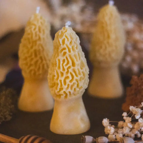 Morel Mushroom Beeswax Candle -  - The Ramblin' Bee - Wild Lark