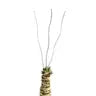 3 Pack Bendable Moss Pole™ THIN -  - Mossify - Wild Lark