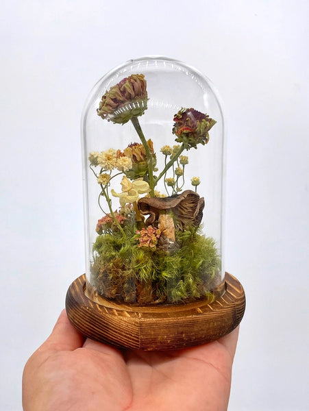 Dried Flower Zinnia Cloche Terrarium -  - Right Side Hand - Wild Lark
