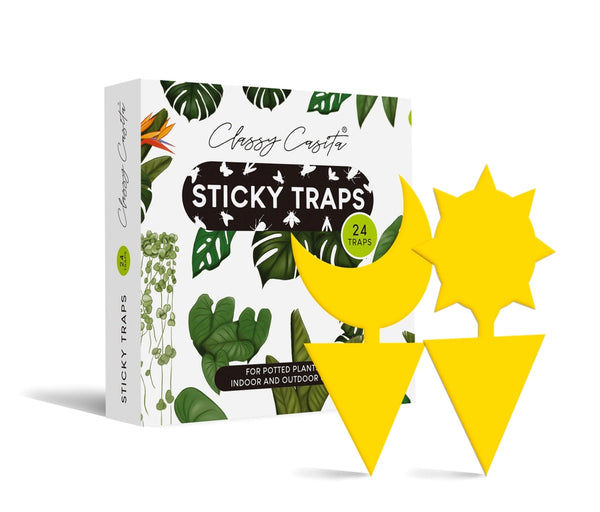 Sticky Traps - - Classy Casita - Wild Lark