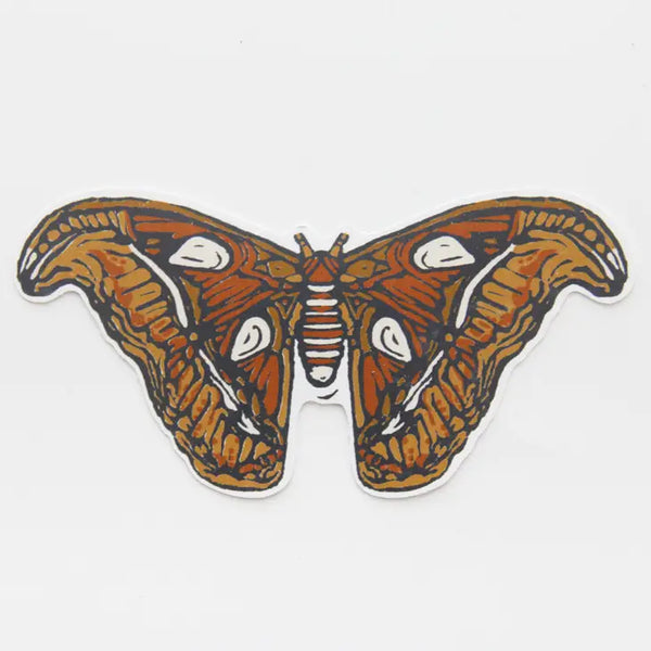 Eco Friendly Paper Sticker - Atlas Moth - Root & Branch Paper Co. - Wild Lark