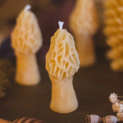 Mini Morel Candle -  - The Ramblin' Bee - Wild Lark