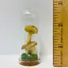 Mushroom Curiosity Jar Real Fungi Curio - 2093 - Fungus Farm - Wild Lark