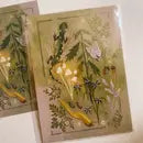 Forest Floor-Art Print -  - Lantern Print Co - Wild Lark