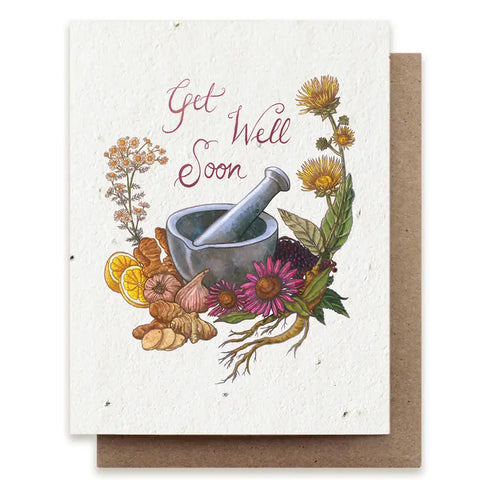 Get Well Soon Plantable Herb Seed Card -  - Small Victories - Wild Lark