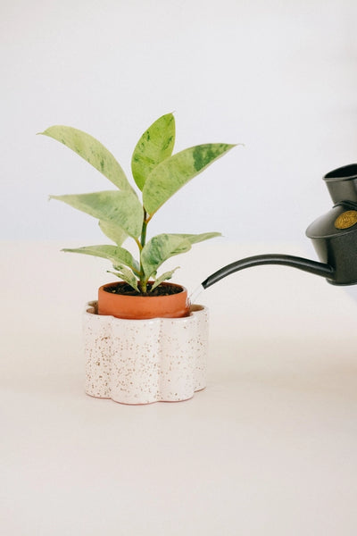 Self-Watering Pot Paula - Speckled White - Pepin - Wild Lark