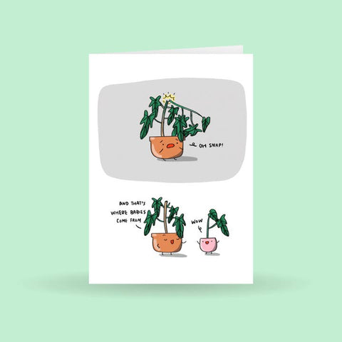 Where Babies Come from, Plant Greeting Card -  - Home by Faith - Wild Lark