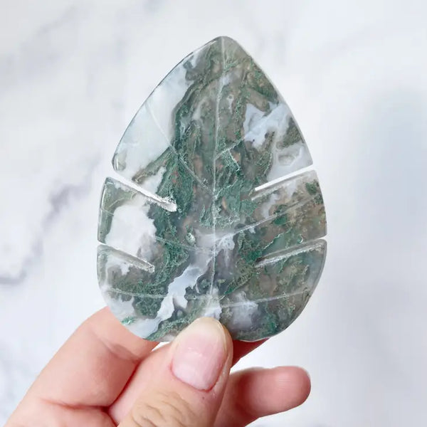 Moss Agate Monstera Leaf Carving -  - Ewelina Pas Jewelry - Wild Lark