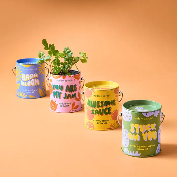 Complimentary Color Grow Kits - - Wild Lark - Wild Lark
