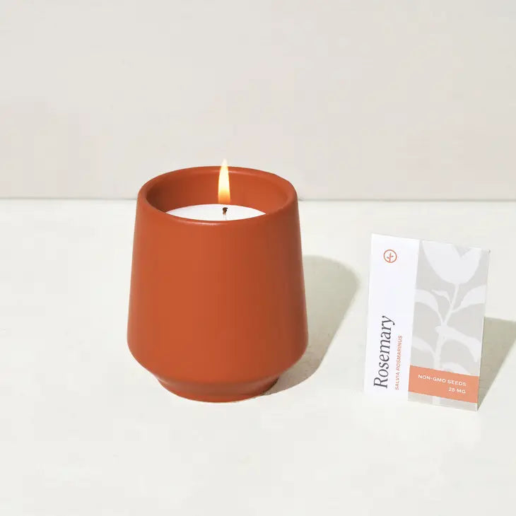 Rooted Candle - Rosemary & Cedar -  - Modern Sprout - Wild Lark