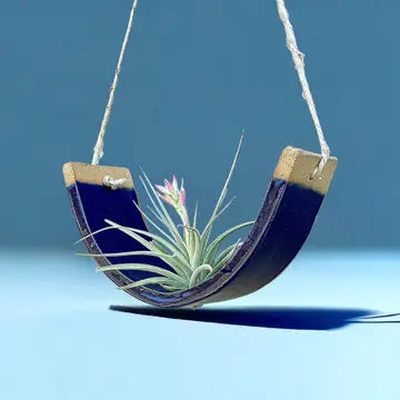 Hanging Air Plant Cradles - Navy Blue / Small - Mudpuppy Ceramic Studio - Wild Lark