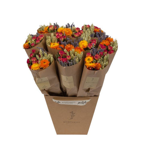 Dried Flowers - Market More - Orange -  - Wildflowers by Floriette - Wild Lark