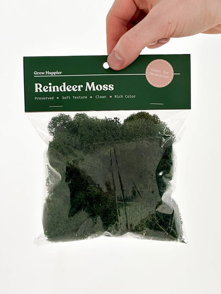 Preserved Reindeer Moss | Moss For Plants and Crafts - Dark Green / 30g Bag - The Plant Supply - Wild Lark