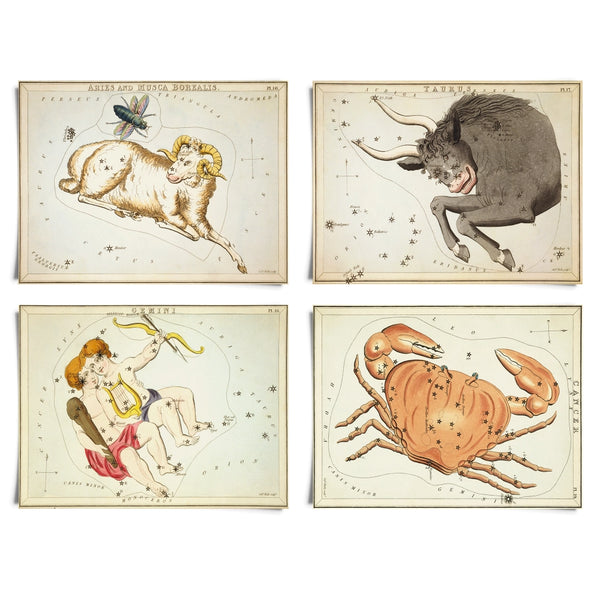 Vintage Zodiac Sign Astrology Print -  - Curious Prints - Wild Lark