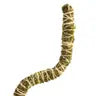 3 Pack Bendable Moss Pole™ THIN -  - Mossify - Wild Lark