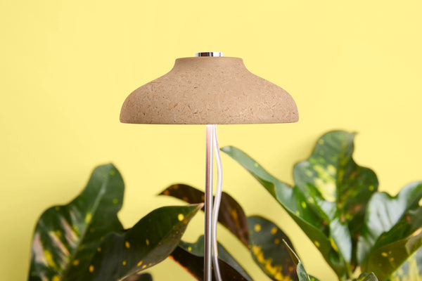 Instant Sun Grow Lamp - - We The Wild - Wild Lark