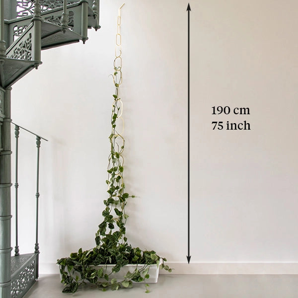 Gold Brass Chain - Plant Support For Climbing Plants -  - Botanopia USA - Wild Lark
