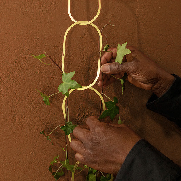 Gold Brass Chain - Plant Support For Climbing Plants -  - Botanopia USA - Wild Lark