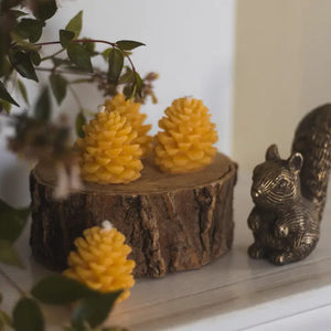 Small Pinecone Beeswax Candle -  - The Ramblin' Bee - Wild Lark