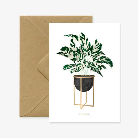 Calathea Plant Card -  - All The Ways To Say - Wild Lark