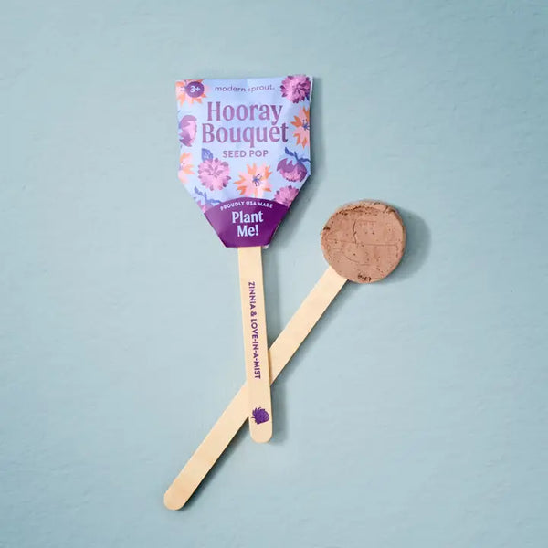 Seed Pops - Hooray Bouquet - Modern Sprout - Wild Lark