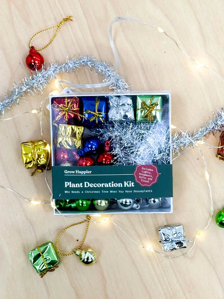 House Plant Christmas Tree Decoration Kit -  - The Plant Supply - Wild Lark