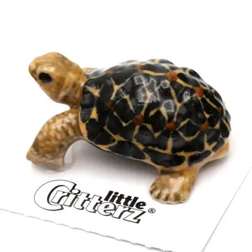 Porcelain Miniature Critters