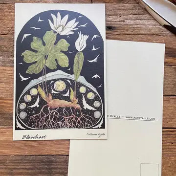 Kat Ryall Postcards - 4x6 - Bloodroot - Recycled Hemp - Kat Ryalls - Wild Lark