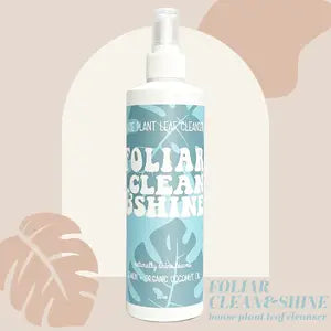 Sale!Foliar Clean & Shine - House Plant Leaf Cleanser - - The Lush Studio - Wild Lark