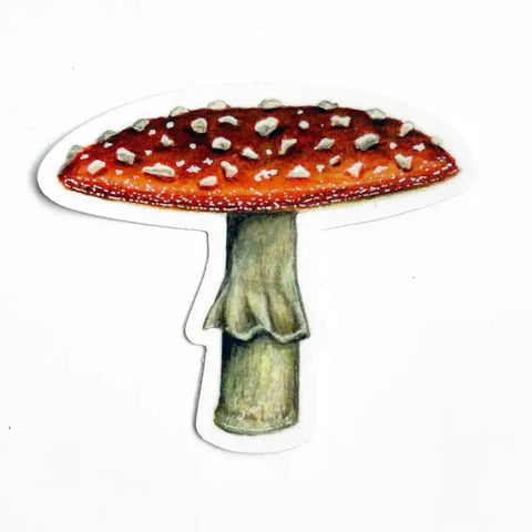 Fly Agaric Mushroom Sticker -  - The Wild Wander - Wild Lark