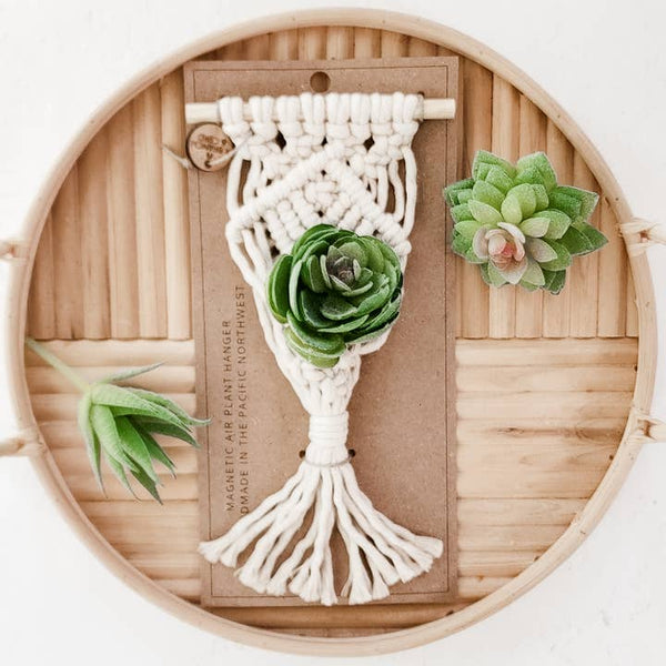 Mini Magnet Macrame Air Plant Holder -  - A Branch & Cord - Wild Lark