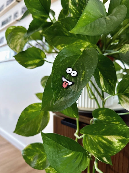 Magnetic Plant Faces | Magnet Charms For Indoor Plants -  - The Plant Supply - Wild Lark