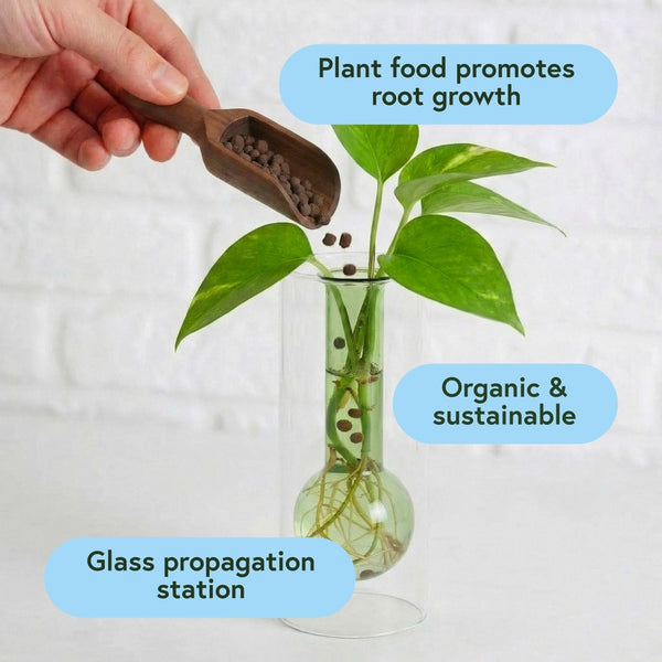 Propagation Kit - - We The Wild - Wild Lark